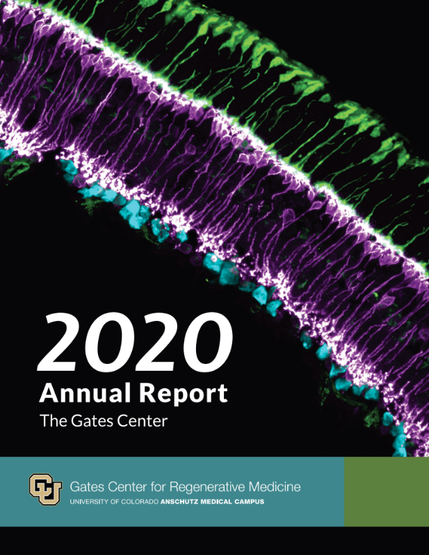2020 annual report