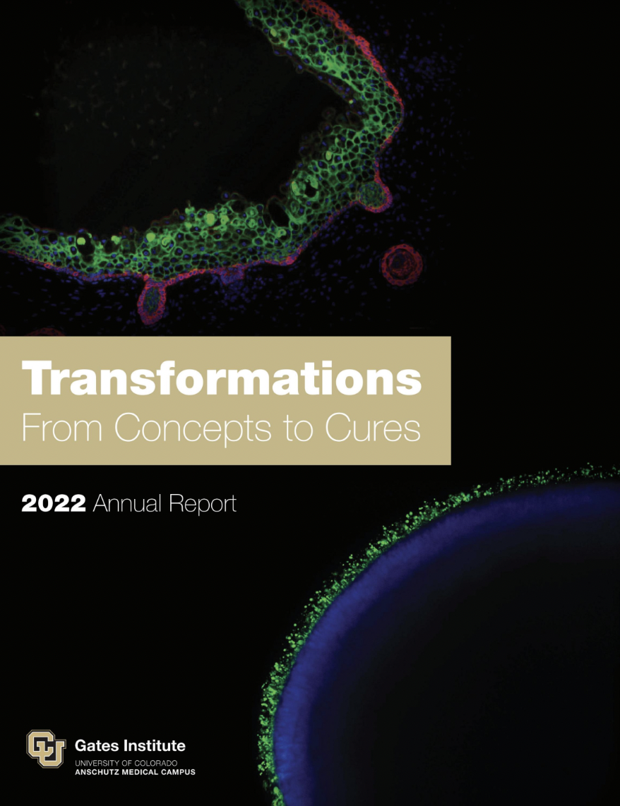 annual-report