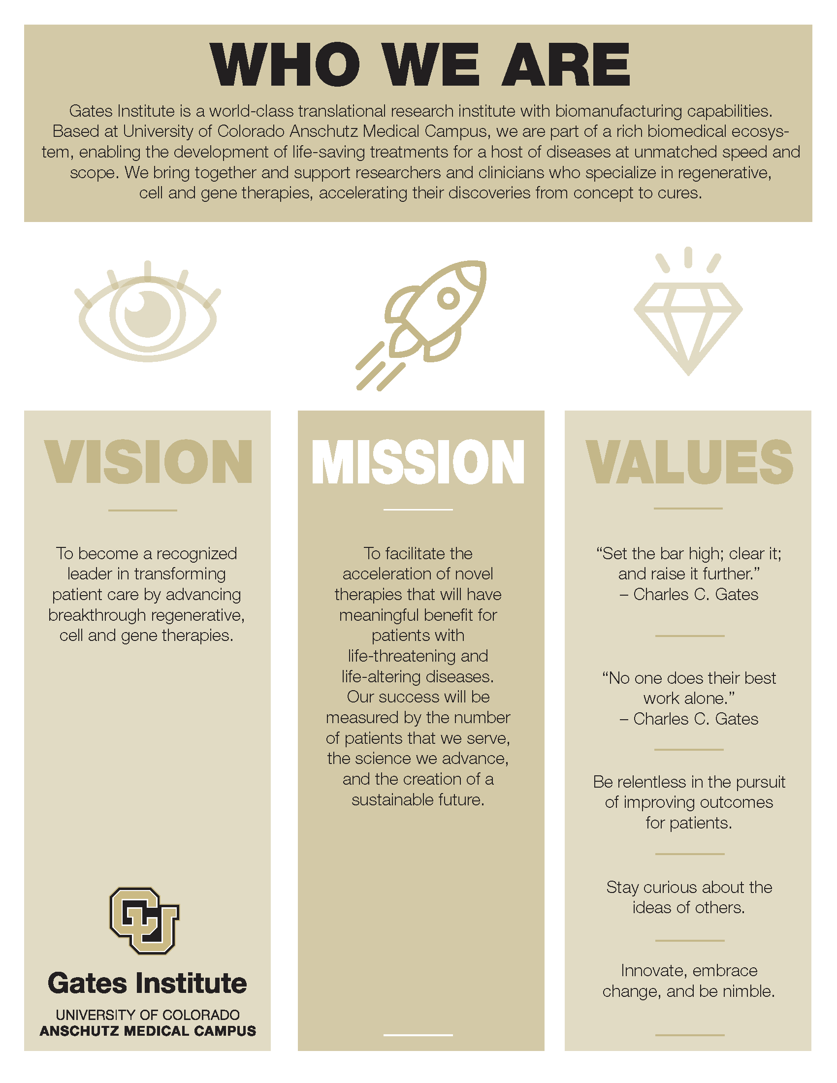 Vision-Mission-Values Graphic